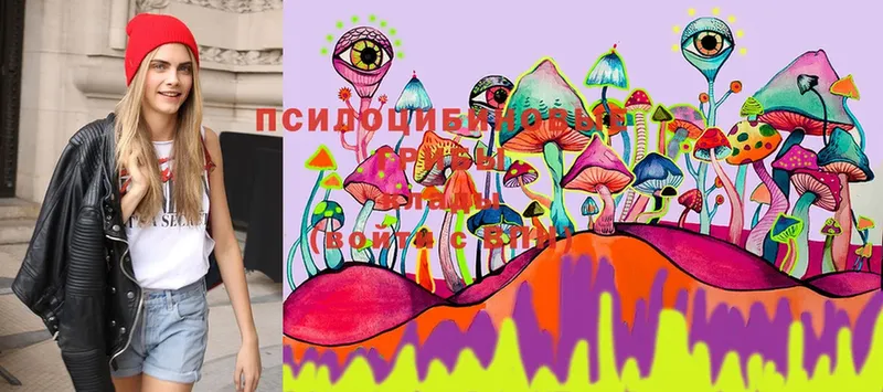 Псилоцибиновые грибы MAGIC MUSHROOMS  кракен ссылки  Алексин 